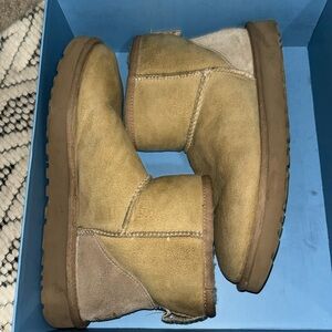 cream uggs